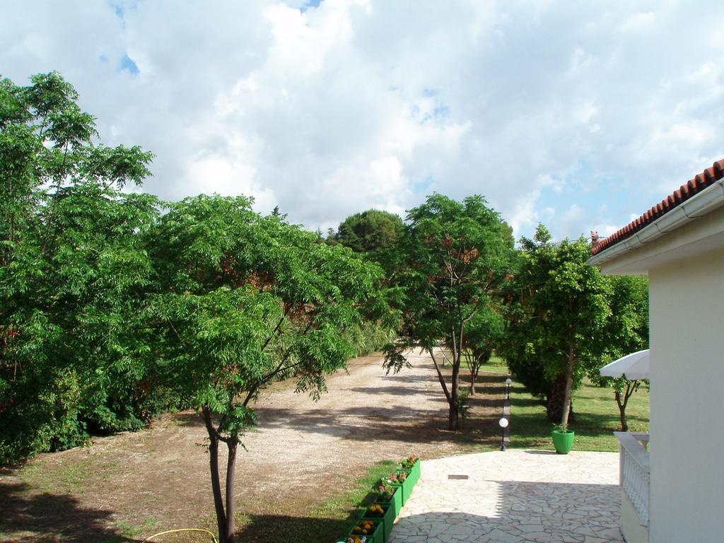 Finikes Studios Kefalonia Sami  Eksteriør billede